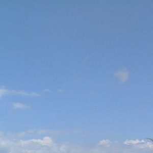 Meet your Posher, Dorina